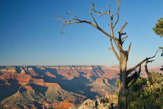 147 Grand Canyon.jpg