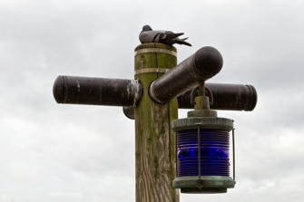 132-New York City.jpg