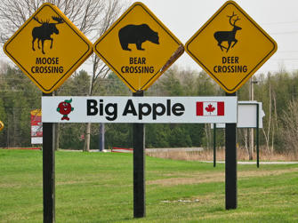 180 The Big Apple-Ontario.jpg