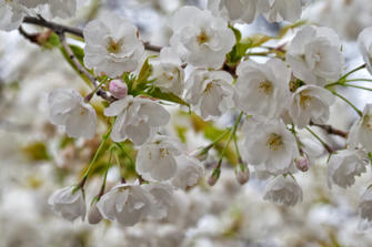 033-New York City.jpg