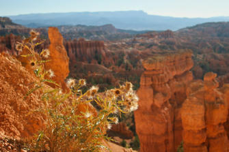 188 Bryce Canyon.jpg