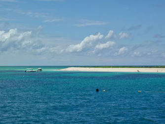 P3100037.jpg